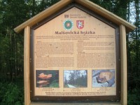 Malšovická hrázka - Hradecké lesy