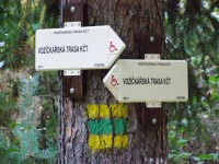 Vozíčkářské trasy v hradeckých lesích