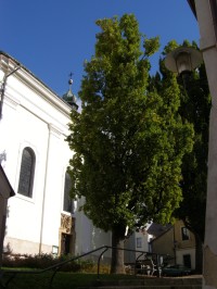 Turnov - kostel sv. Mikuláše