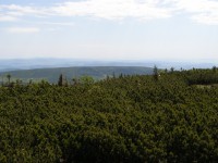 Svorová hora - výhled k jihovýchodu