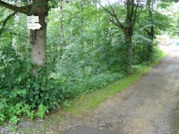 turistické rozcestí Nový Bor - u lesního hřbitova 