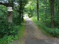 turistické rozcestí Nový Bor - u lesního hřbitova 