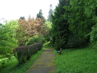 Trutnov - městský park, lesopark
