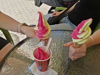 Kralupy nad Vltavou - vizitky