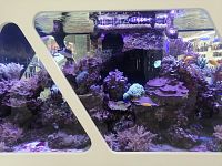 Obři oceánů - OC Westfield Černý Most - Praha