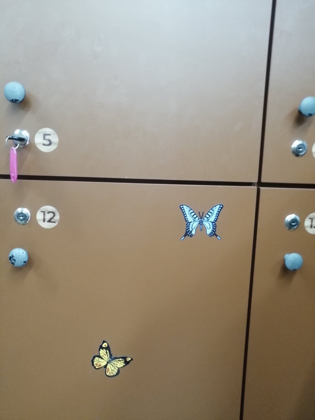 Papilonila - Motýlí dům - Ostrava