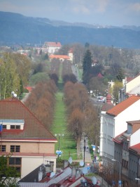 lipová alej,a na jejím konci Valdštejnova lodžie s libosadem