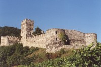 Spitz (an der Donau) – hradní zřícenina mezi vinohrady  (Ruine Hinterhaus)