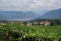 San Paolo / st. Pauls a vinice, v pozadí Bolzano