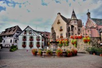 Alsasko, Burgundsko, Franche-Comté 2015/1 (Colmar, Eguisheim, Belfort, Saut du Doubs)