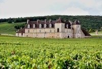 Vougeot - Clos de Vougeot, zámek mezi vinicemi  (Château du Clos de Vougeot)