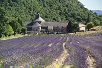 Prosluněná Provence potřetí 5 (víno z Chateauneuf du Pape, Roquemaure a levandulový klášter Sénanque)