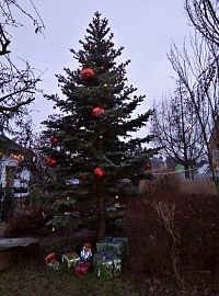 bludovský vánoční strom