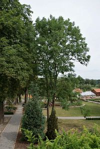 někdejší zámecký park a klášterní zahrada