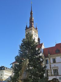vánoční strom před olomouckou radnicí