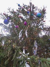 pod vánočním stromem