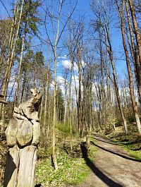 co uvidíte cestou tam ...