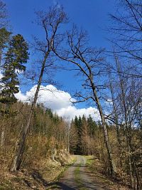 ... a co kousek za jezírkem