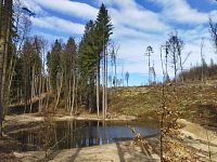 dolní část s pláží