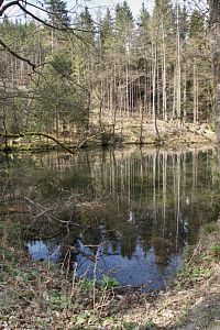 vodní plocha u studánky Kapalice