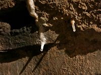 část krápníková