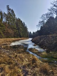 Svitavsko aneb cesta za areály opevněných kostelů na česko-moravské zemské hranici (Opatov, Javornické stezky, Vendolí, Jedlová, Banín, Hradec nad Svitavou, Kamenná Horka)