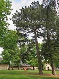 Schrollův park
