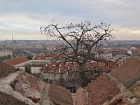 Praha (Hradčany) - hradní vyhlídka Na Opyši