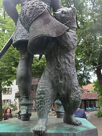 bernský medvěd kam se podíváš