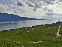 Lavaux - terasové vinice  (Lavaux, région viticole; UNESCO)