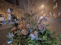 zamlžená předvánoční Olomouc