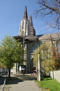 Panna Marie na louce