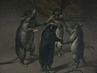 kocour není doma a myšičky mají pré