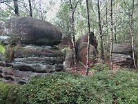 skalním okruhem Božanovského Špičáku