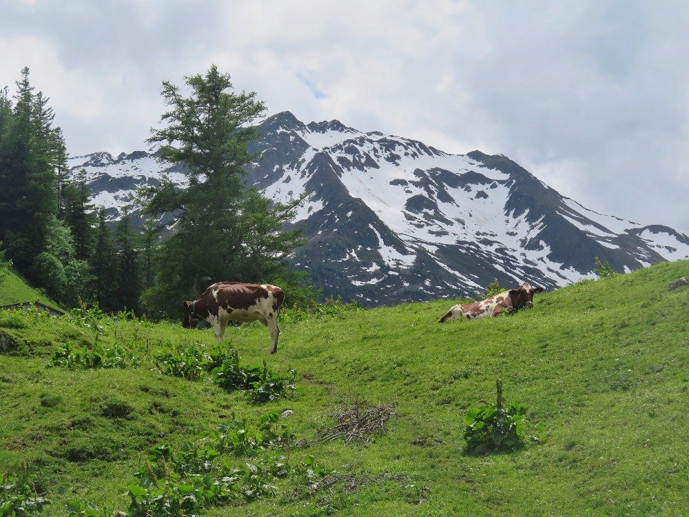 Velký okruh Švýcarskem a Mont Blanc III. – Alpy, hrad Chillon, Montreux, Vevey, Lausanne, Ženeva a Nyon  (Švýcarsko a Francie)