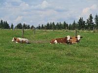 nad Slavným