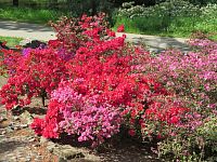 Výstaviště Flora s botanickou zahradou, rozáriem a sbírkovými skleníky