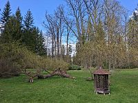 lázeňský park