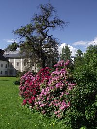 zámecký park