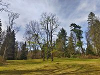lázeňský park