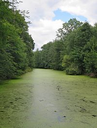 Litovelské Pomoraví