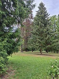 pohled do míst s hroby č. 1, 3 a 4