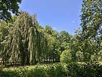 zámecký park