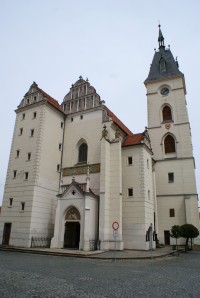 Vodňany - kostel Narození P.M.