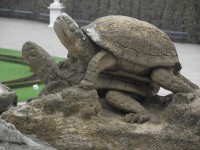 sousoší želviček