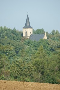 kostel v lesích