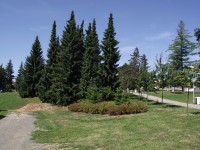 spodní část parku