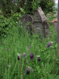 židovský hřbitov v Lošticích