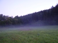 ranní mlhy