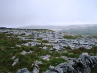 Burren